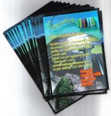 Folhetos - 7x10 - 4x0
